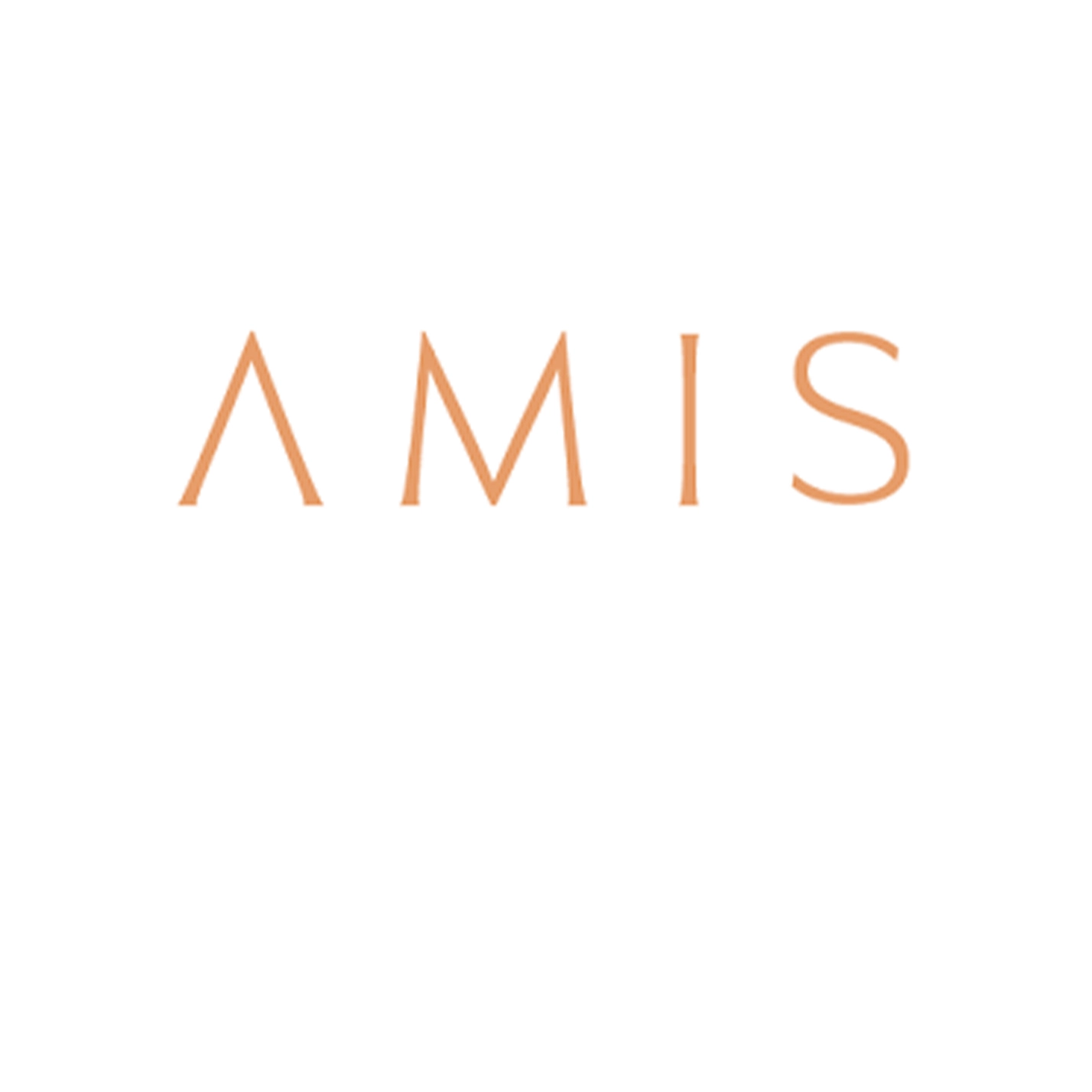 Amis Development Logo